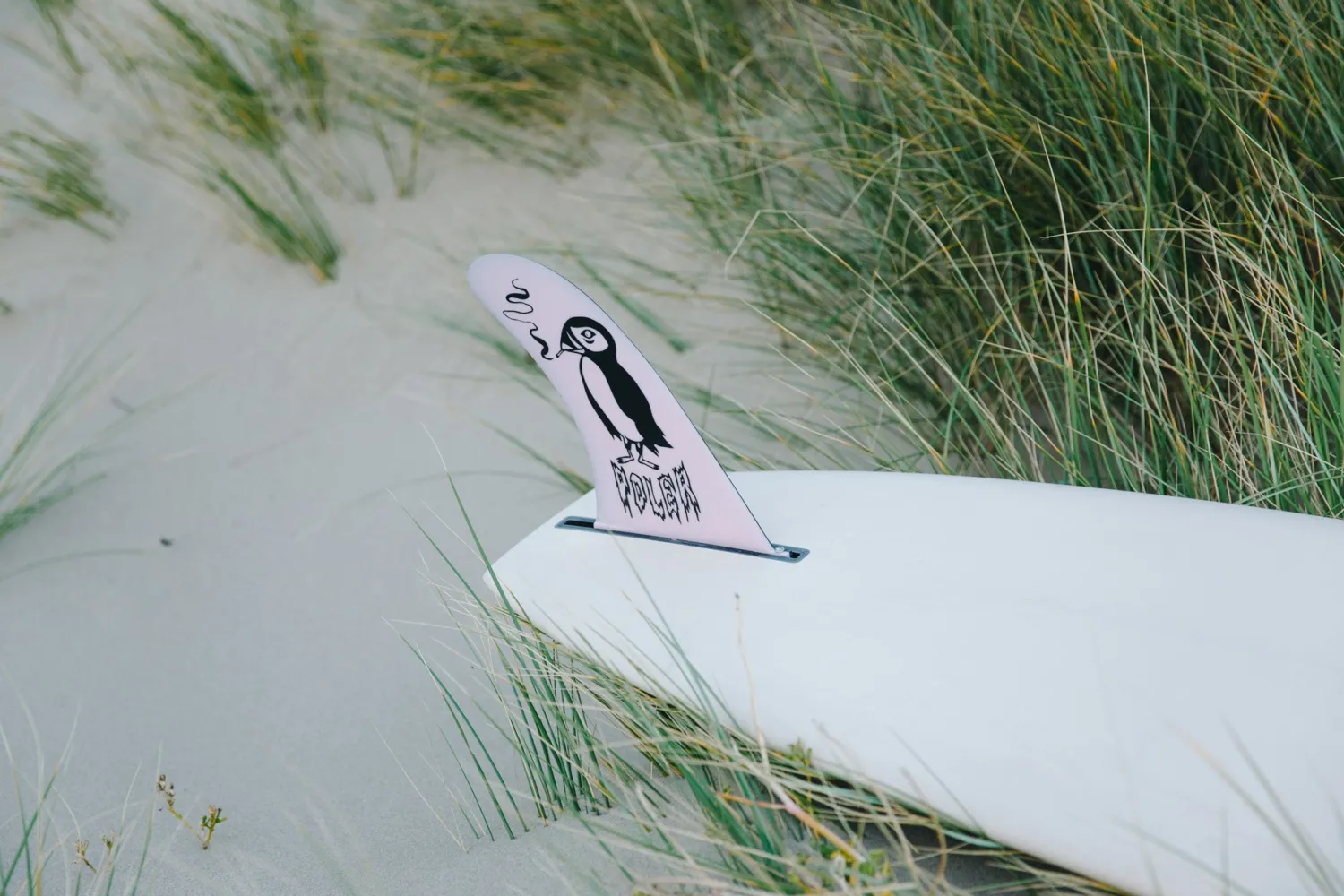 Poler Other Stuff>Captain Fin X Pivot 10 Black/Pink